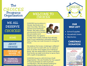 The CHOICES Programs Organization screen capture